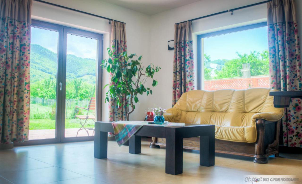Casa Rudi & Ella Hotell Sălişte Eksteriør bilde