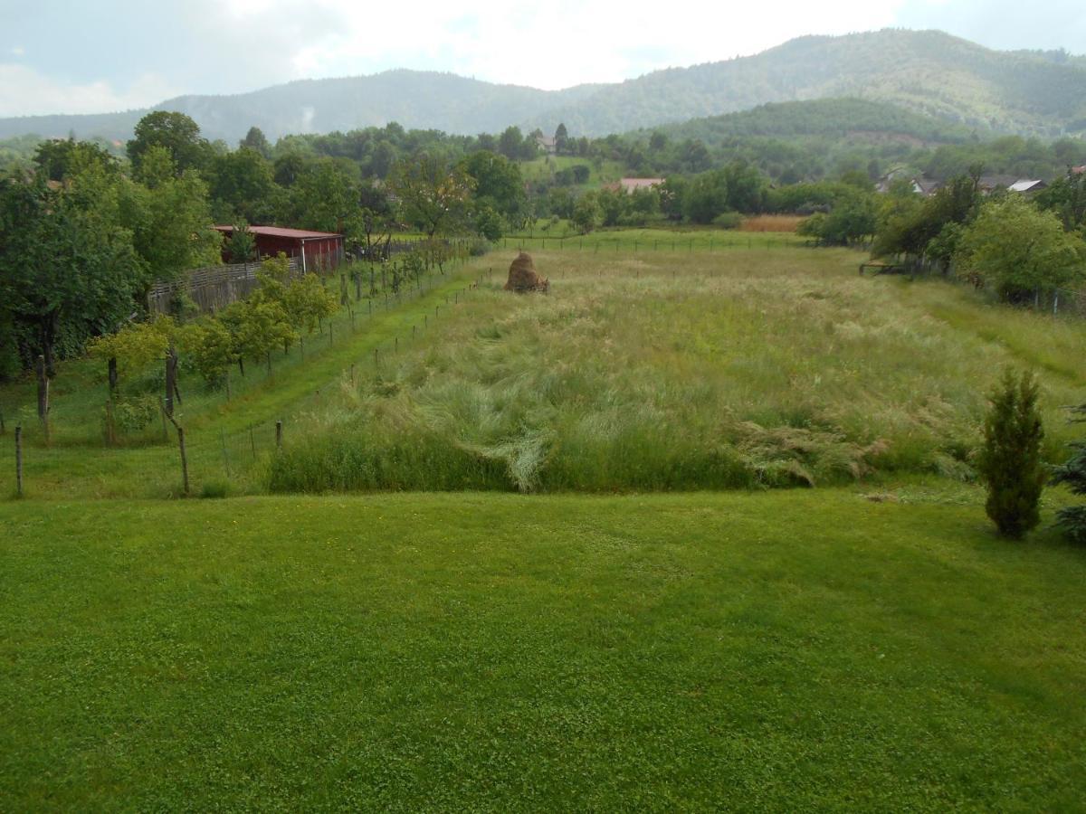 Casa Rudi & Ella Hotell Sălişte Eksteriør bilde